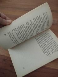 CEYLANLAR SUYA İNDİ