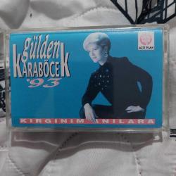Gülden karaböcek KASET 93 kırgınım anılara