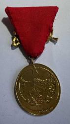 İSTİKLAL MADALYASI REPLİKA ( KILIÇLI TOKALI KURDELA)