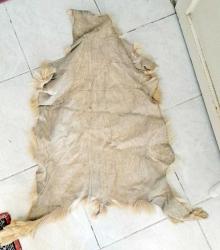 Gerçek Kuzu Postu Halı Yün Peluş