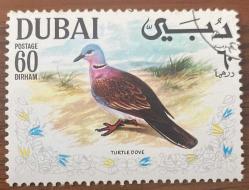 Dubai Pulu - Dubai Stamp - Postadan Geçmiş Pul Filateli - Damgalı -ÜVEYİK KUŞU TEMALI PUL , 60 PARA - YABANCI PULLAR -NOSTALJİK DOĞUM GÜNÜ HEDİYESİ