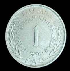 Yugoslavya 1976 Fao 1 Dinar