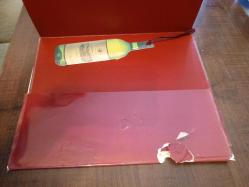 ŞARAPLA TANIŞMA (BÜYÜK BOY CİLTLİ ŞÖMİZLİ)