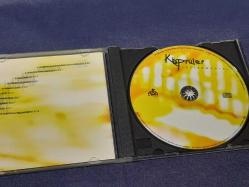 KÖPRÜLER ENSTRUMENTAL MÜZİK CD