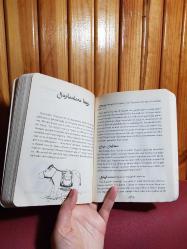 MASAL TERAPİ