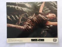 ALIEN - YARATIK: DİRİLİŞ (1997) - SİNEMA FİLMİ ORİJİNAL 8'Lİ LOBİ KART SETİ - AMERİKA DÖNEM BASKISI - ALIEN: RESURRECTION (1997) ORIGINAL LOBBY CARD SET 8 SCENES, U.S.A - 25 x 20 cm - Jean-Pierre Jeunet, Sigourney Weaver, Winona Ryder, Dominique Pinon, Ron Perlman, Gary Dourdan, Michael Wincott, Kim Flowers, Dan Hedaya, J.E. Freeman, Brad Dourif, Raymond Cruz, Leland Orser, Carolyn Campbell, Marlene Bush, David St. James, 	Joss Whedon, John Frizzell, Hervé Schneid