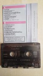 HÜSEYİN ALTIN ACEM KIZI FONO RAKS BASKI