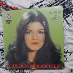 Gülden karaböcek lp plak ambalajında müzik ve ben
