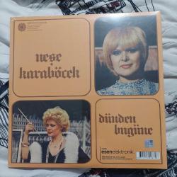 Neşe karaböcek lp plak ambalajında  dünden bugüne