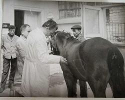 Tedavi aşamasında bakıcısı tarafında tutularak çekilmiş bir ...