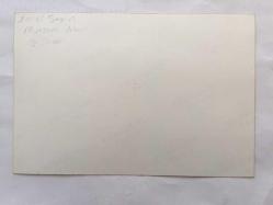 EMEL SAYIN'IN ORİJİNAL 4'LÜ FOTOĞRAF SETİ, 17,5 x 12 m EBADINDA - GÜNAY RESTAURANT YILBAŞI PARTİSİNDE EMEL SAYIN, AJDA PEKKAN, MUAZZEZ ABACI, GÜNAY TUNCEL AYNI KARELERDE, 4 FARKLI ORİJİNAL NET KALİTEDE BASIM FOTOĞRAF