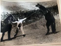 Boş bir arazide atlarını güçlükle tutmaya çalışırken çekilmiş genç bir kadın fotoğrafı. 03.05.1968 .ORJİNAL SİYAH & BEYAZ 16x10cm EBADINDA - 1940'LAR, 1950'LER, 1960'LAR ve 1970'LER