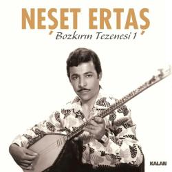Neşet Ertaş Bozkırın Tezenesi 1 Plak