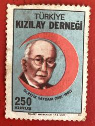 Türk Pulu - Turkish Stamp - Postadan Geçmiş Pul Filateli - DR. REFİK SAYFDAM RESİMLİ TÜRKİYE KIZILAY DERNEĞİ TEMALI PUL, 250 KURUŞ - Türkiye Cumhuriyeti - NOSTALJİK DOĞUM GÜNÜ HEDİYESİ