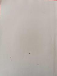 Sultan Murad V ve Sultan Abdülhamid II Dönemi Osmanlı Madeni Paraları - Cüneyt Ölçer