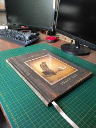 Uzak - Shaun Tan | Angoulema Uluslararası En İyi Albüm Ödülü (Ciltli)