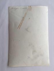 YEŞİLÇAM'IN EFSANESİ BELGİN DORUK'UN ORİJİNAL 3'LÜ FOTOĞRAF SETİ, 18 x 12 cm EBADINDA - BELGİN DORUK EVİNDE SAKSIDAKİ ÇİÇEĞİNE SARILIRKEN ve YANINA GELEN YAKININA SARILIRKEN ÇEKİLMİŞ 3 FARKLI KARE