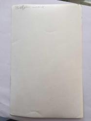 YEŞİLÇAM'IN EFSANESİ BELGİN DORUK'UN ORİJİNAL 3'LÜ FOTOĞRAF SETİ, 18 x 12 cm EBADINDA - BELGİN DORUK EVİNDE SAKSIDAKİ ÇİÇEĞİNE SARILIRKEN ve YANINA GELEN YAKININA SARILIRKEN ÇEKİLMİŞ 3 FARKLI KARE