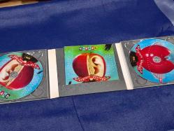 EZGİNİN GÜNLÜĞÜ ÇEYREK MÜZİK CD  ( 2 DISK )