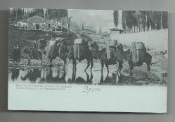 OSMANLI DÖNEMİ İZMİR'DE DEVE KERVANININ GEÇİŞİ TEMALI KARTPOSTAL...