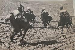 Bir arazide atlarla beraber seyehat ederken çekilmiş bir grup yetişkin erkek fotoğrafı.ORJİNAL SİYAH & BEYAZ 25x17cm EBADINDA - 1940'LAR, 1950'LER, 1960'LAR ve 1970'LER