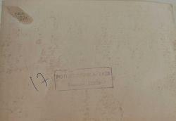 Bir arazide atlarla beraber seyehat ederken çekilmiş bir grup yetişkin erkek fotoğrafı.ORJİNAL SİYAH & BEYAZ 25x17cm EBADINDA - 1940'LAR, 1950'LER, 1960'LAR ve 1970'LER