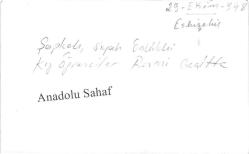 Şapkalı ve Siyah Önlüklü Kız Öğrenciler Resmi Geçitte, Eskişehir, 29 Ekim 1948