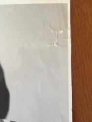 GÖNÜL YAZAR'IN ORİJİNAL BÜYÜK BOY 5'Lİ FOTOĞRAF SETİ - 24 x 18 cm EBADINDA - GÖNÜL YAZAR BEYAZ ELBİSESİYLE HASTA YATAĞINDA DİNLENDİĞİ SIRADA AYNADA AĞZININ İÇİNİ KONTROL EDERKEN, GÖNDERİLEN MEKTUPLARI OKURKEN ve KENDİSİNİ ZİYARETE GELEN BÜYÜK MÜZİSYEN NECMİ RIZA AHISKAN İLE SOHBET EDERKEN ÇEKİLMİŞ 5 FARKLI KARE