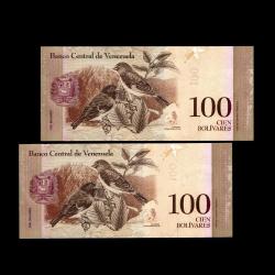 VENEZUELA (2013) - 100 Bolivares (ÇİL 10/10) 