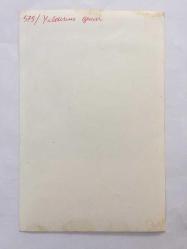 YILDIRIM GENCER'İN ORİJİNAL 2'Lİ FOTOĞRAF SETİ 18 x 12 cm EBADINDA - YILDIRIM GENCER ve ÜLKÜ ÖZEN BİRLİKTE ROL ALDIKLARI ''ŞAFAKTA SİLAH SESLERİ (1973'' İSİMLİ FİLM SONRASI ARMUT HEDİYE EDİLİRKEN ÇEKİLMİŞ 2 FARKLI KARE (ALİ BABA LOKANTASI TABELASI)