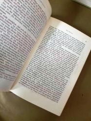 Kleinasien;  3.  Jenseits des Maander Karien mit dem Vilayet Mugla