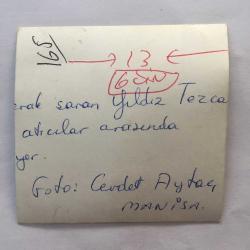 YILDIZ TEZCAN'IN ORİJİNAL 3'LÜ FOTOĞRAF SETİ, 9 x 8 cm, 8 x 8 cm ve 11,5 x 5 cm EBADINDA 3 ADET FOTOĞRAF - YILDIZ TEZCAN KENDİSİNE NASIL NİŞAN ALINACAĞINI ÖĞRETEN ATICI GÖKSENİN GELENBE İLE, 3 FARKLI KARE