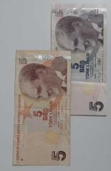 5 Türk Lirası A Serisine Has Tarçın Reng 9 Emisyon  1 Tertip