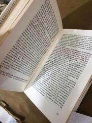 Die Janitscharen: Geheime Macht des Türkenreiches (Ciltli)