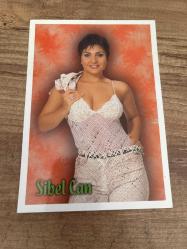 Sibel Can Kartpostalı 17x12 cm ebatında