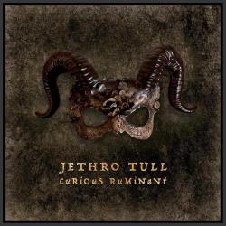 Jethro Tull - Curious Ruminant / Plak ( Ambalajında )