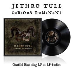 Jethro Tull - Curious Ruminant / Plak ( Ambalajında )