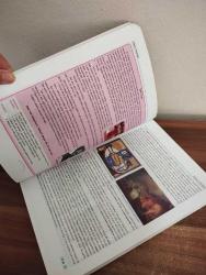 10. SINIF DİL VE ANLATIM KONU ANLATIMLI ( LÜTFEN AÇIKLAMALARI OKUYUNUZ)