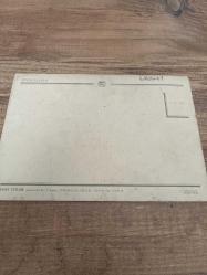 Yeşim salkım  Kartpostalı 17x12 cm ebatında