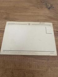 Yeşim salkım  Kartpostalı 17x12 cm ebatında