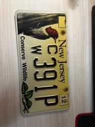 ORJİNAL Amerika New Jersey Plaka 30x15