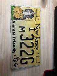 ORJİNAL Amerika New Jersey Plaka 30x15