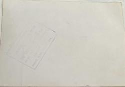 Bir havuzun içinde yavrusu ile beraber yüzerken çekilmiş olan yunus balığı fotoğrafı.ORJİNAL SİYAH & BEYAZ 20x15cm EBADINDA - 1940'LAR, 1950'LER, 1960'LAR ve 1970'LER