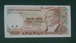 7 Emisyon B 05 Seri 5000 Lira Çil Büyük Mevlana