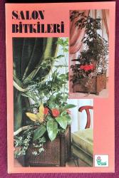Salon Bitkileri
