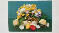 HEDİYE KARTPOSTALI - 15 x 10 cm EBADINDA - ARKASI YAZILI- RENKLİ ÇİÇEKLERLE SÜSLÜ SEPET VE TATLI CİVCİVLER,PASKALYA YUMURTALARI