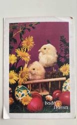 HEDİYE KARTPOSTALI - 12 x 17 cm EBADINDA - ARKASI YAZILI- YEŞİLLİKLER VE ÇİÇEKLER ARASINDA PASKALYA YUMURTALARI VE SEVİMLİ CİVCİVLLER