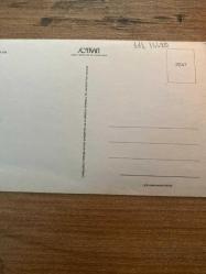 Tarkan resimli kartpostal 17x11 cm ebatında