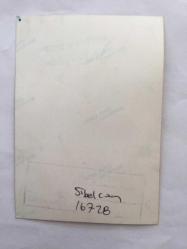 SİBEL CAN'IN ORİJİNAL FOTOĞRAFI - 12 x 9 cm EBADINDA - SİBEL CAN'IN İLK GENÇLİK DÖNEMLERİNDEN BAŞINA KIRMIZI TÜL BAĞLAYIP POZ VERDİĞİ NET KALİTEDE STÜDYO BASIMI ORİJİNAL BİR FOTOĞRAF