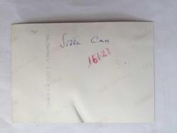 SİBEL CAN'IN ORİJİNAL 2'Lİ FOTOĞRAF SETİ - 12,5 x 9 cm EBADINDA - SİBEL CAN PEMBE ŞIK ELBİSESİYLE SAHNEDEYKEN ÇEKİLMİŞ 2 FARKLI KARE